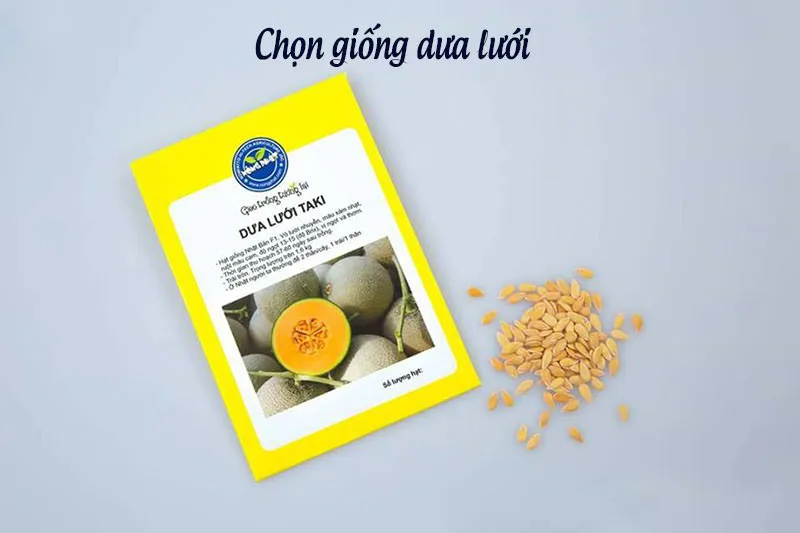 kỹ thuật chọn giống dưa lưới