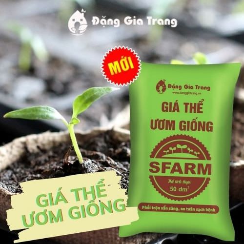 Giá thể ươm giống <b>HLV</b>” width=”500″ height=”500″  ></b><em>Giá thể ươm giống <b>HLV</b></em></p><h4 id=