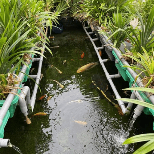 He Aquaponics