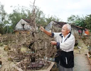 tuốt lá mai