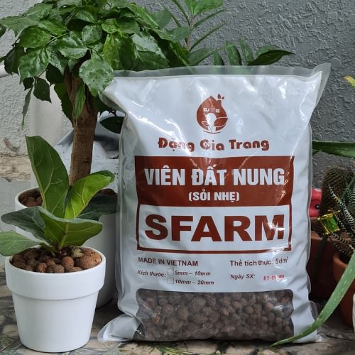 viên đất nung sfarm