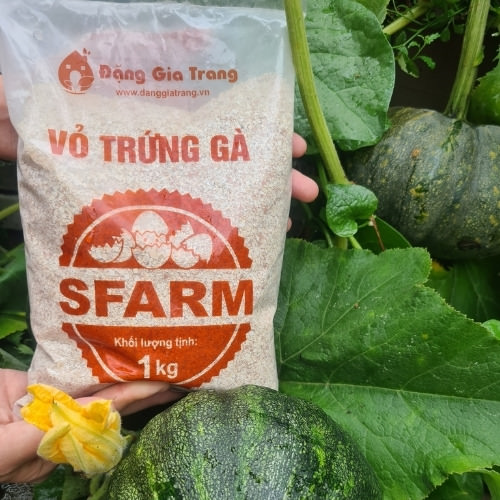 vỏ trứng gà sfarm