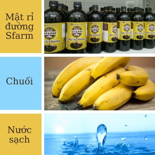 cách làm dịch chuối tưới hoa hồng