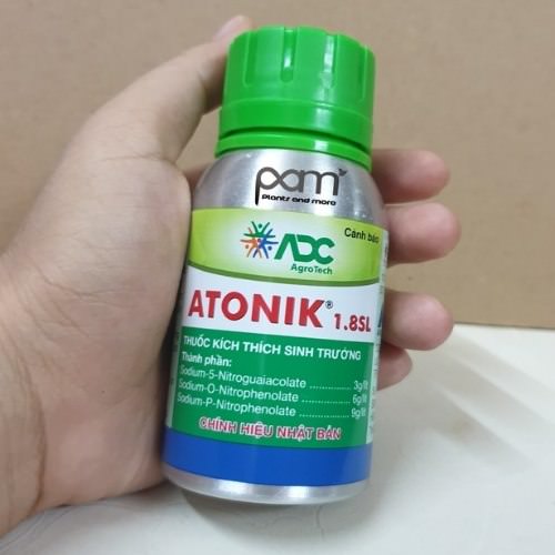 atonik kích rễ mai