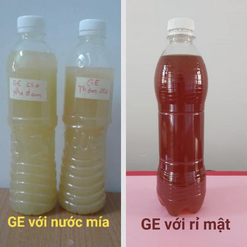 Màu sắc của GE với nước mía và mật rỉ đường