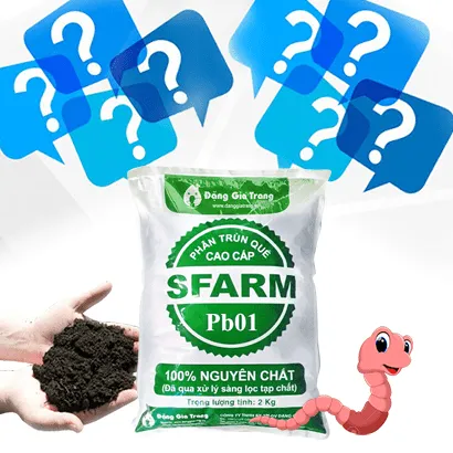 Thắc mắc về phân trùn quế (https://sfarm.vn/phan-trun-que-vermicompost