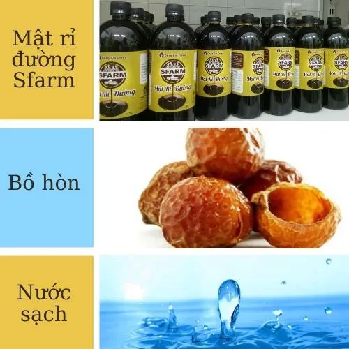 thành phần ủ enzyme bồ hòn