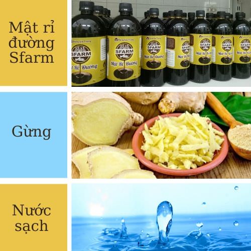 Thành phần ủ ge gừng